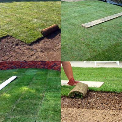 Turfing image goes here